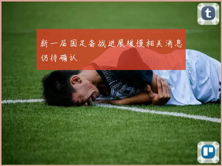 新一届国足备战进展缓慢相关消息仍待确认