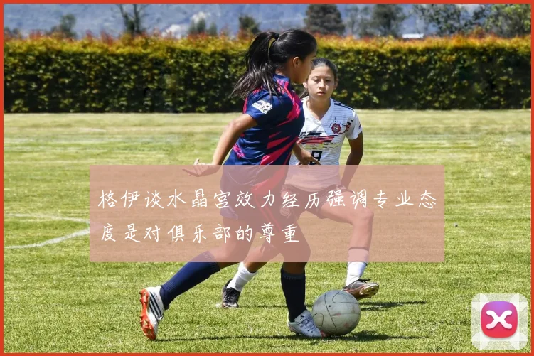 格伊谈水晶宫效力经历强调专业态度是对俱乐部的尊重